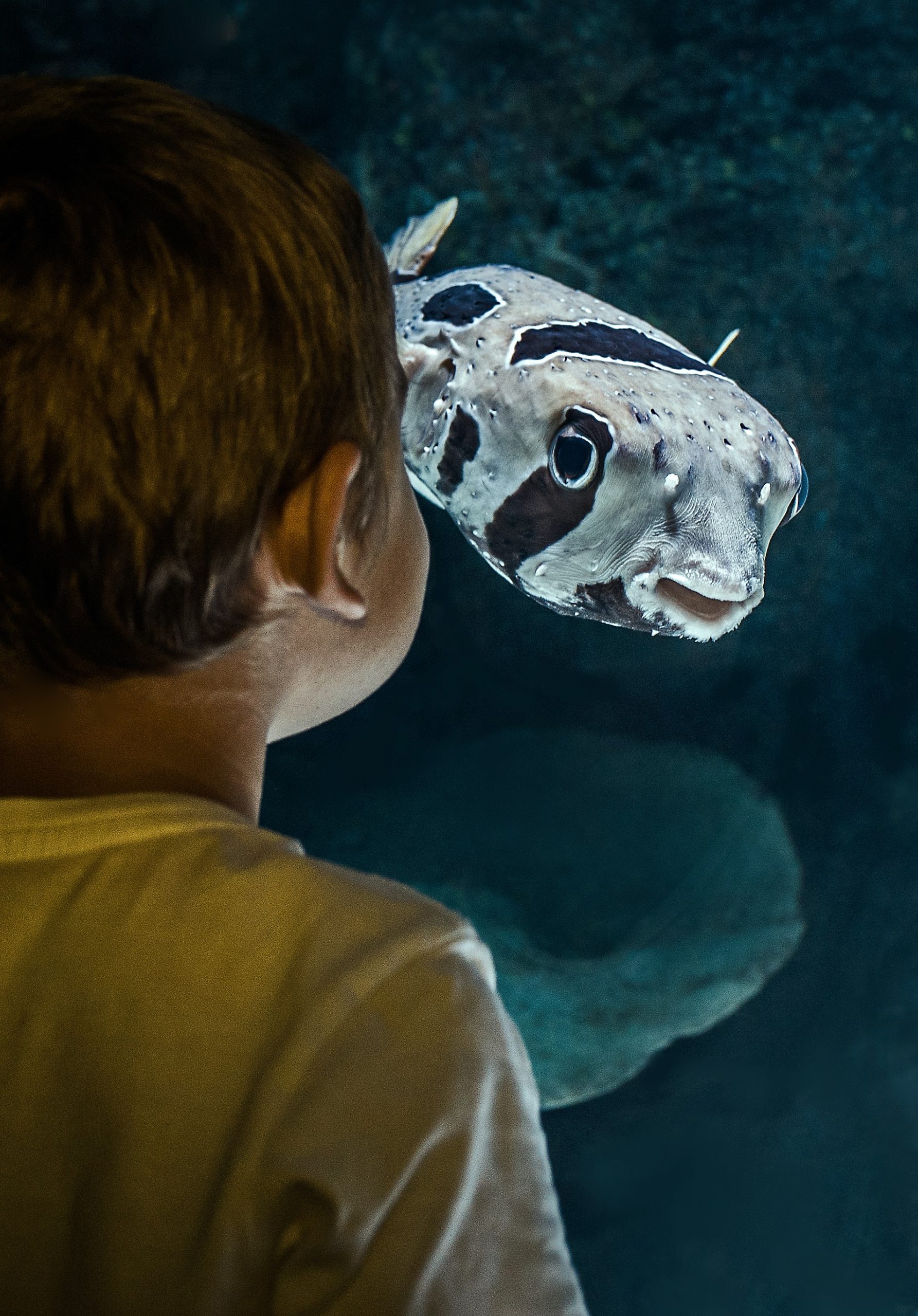 david-clode-KX1wCOaB1z8-unsplash david-clode-KX1wCOaB1z8-unsplash