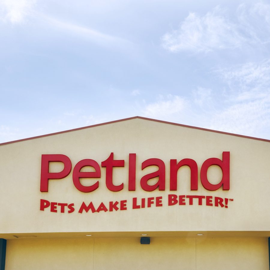 Kamloops Pet store