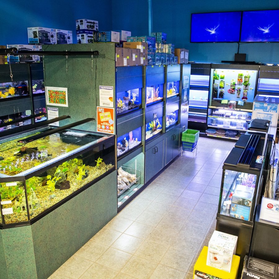 Fish food store Kamloops