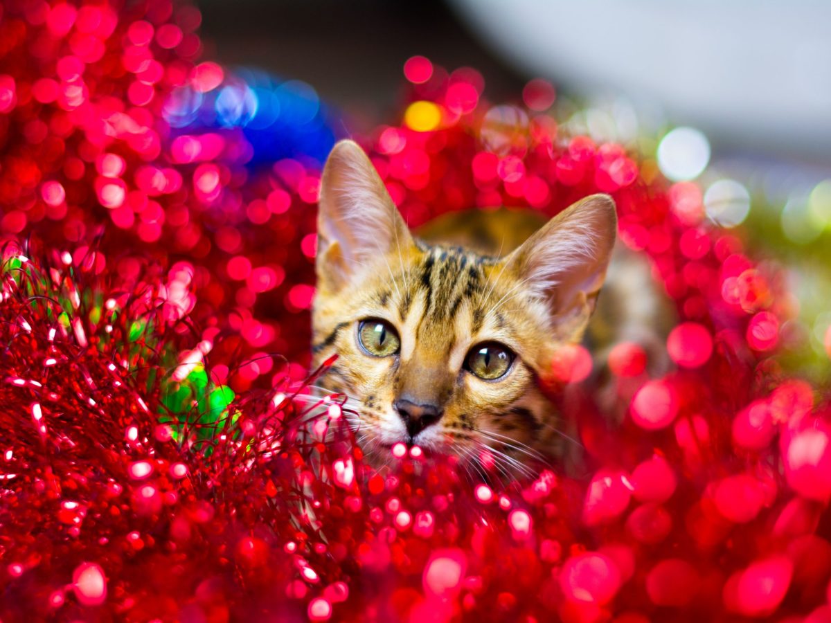 bermix-studio-b5JGfRekqF4-unsplash