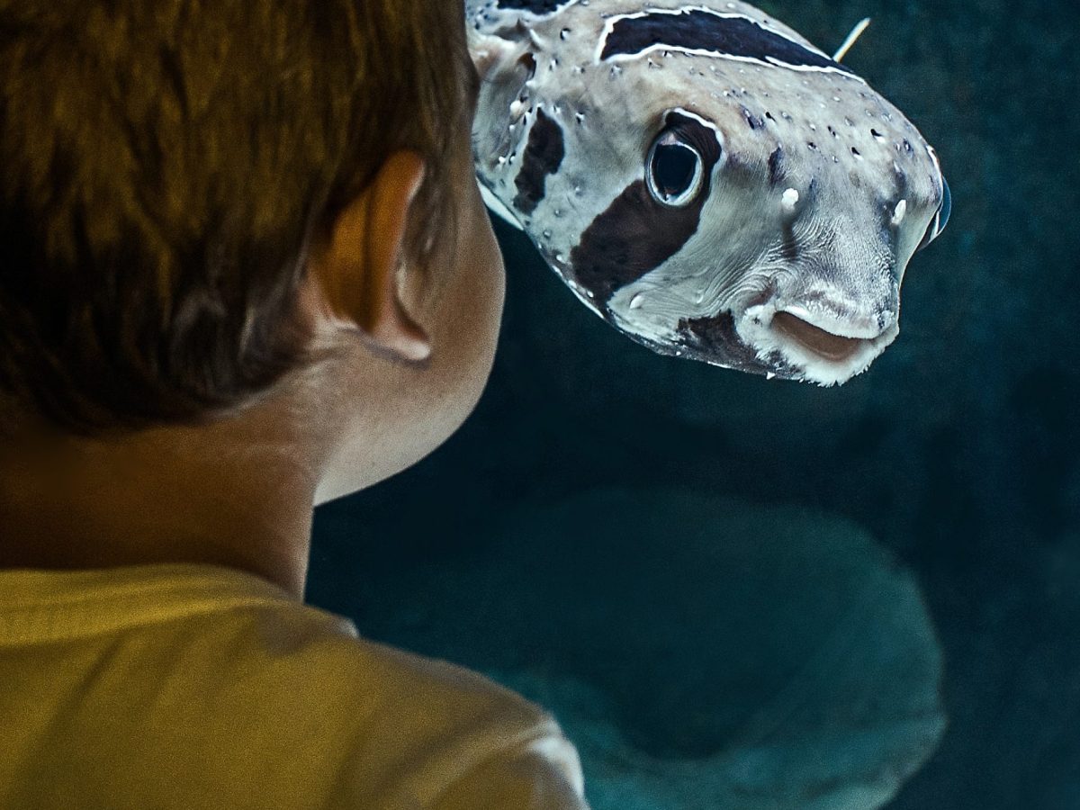 david-clode-KX1wCOaB1z8-unsplash